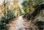 cam   del bosc