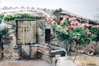 Pou de Can Parera de canyes - 33x44 5 cm 