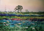 Prat amb flors - 49x66 cm 