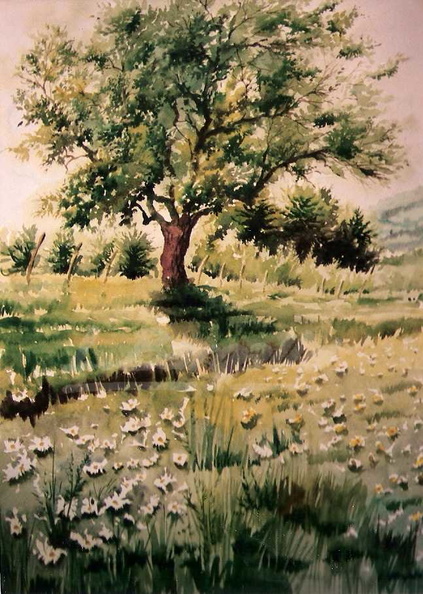 primavera  66x49 cm_.jpg