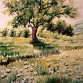 Primavera  - 66x49 cm 