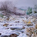 Riu Manzanares - 40x50 cm 
