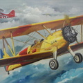 Avió groc