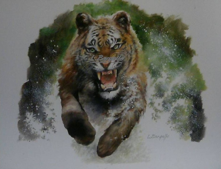 Saltant l_aigua 35x50 cm_ febrer 19 -M.jpg