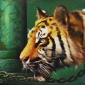 Tigre -32x47 cm.