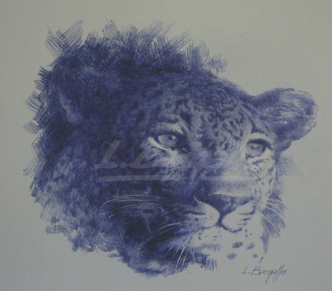 Leopard 40x50 cm_-febrer 2015 -M.JPG