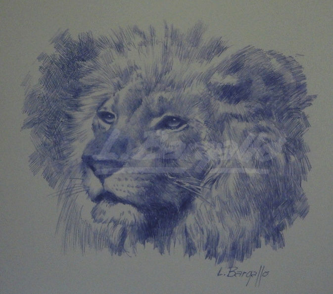 Lle__ 2-40x50 cm_ febrer 2015 -M.JPG