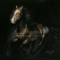 Al galop -10F 55x46 cm.