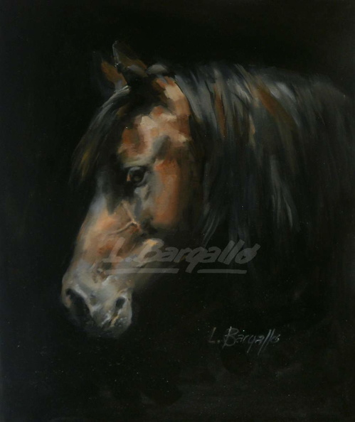 Cavall de perfil 10 F -mar__ 2013- M.JPG