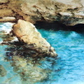 Cova marina -89x146 cm 