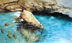 Cova marina -89x146 cm 