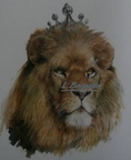 Rei lleò - 44x35 cm 